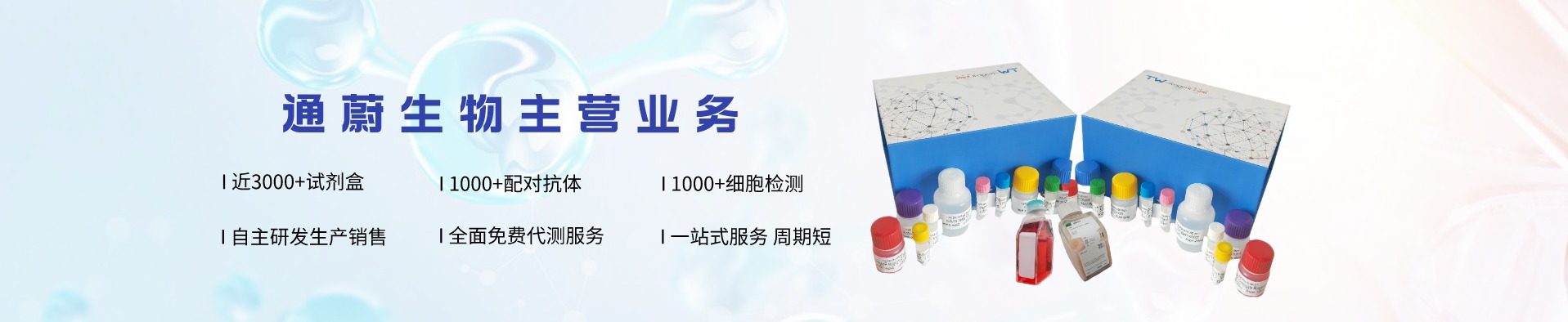 通蔚主營業務
