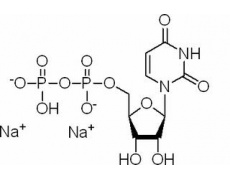 植物激素及核酸類(lèi)