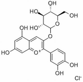 碳水化合物類(lèi)