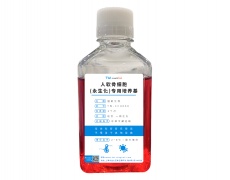 永生化細胞專用培養(yǎng)基