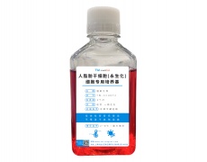 永生化細胞專用培養基