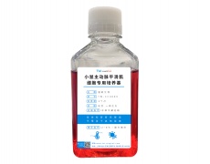 永生化細胞專用培養基