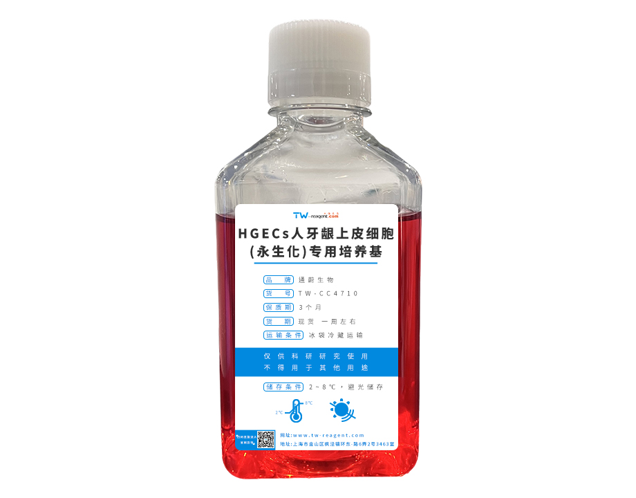 永生化細胞專用培養基